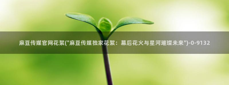 麻豆传媒官网在线免费：麻豆传媒官网花絮(\