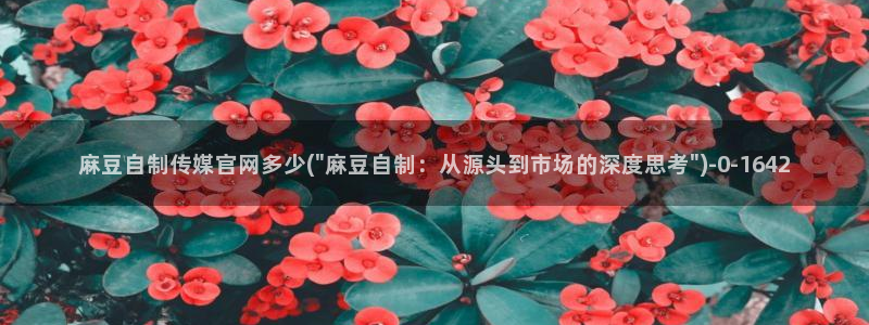 麻豆床传媒官网天美：麻豆自制传媒官网多少(\