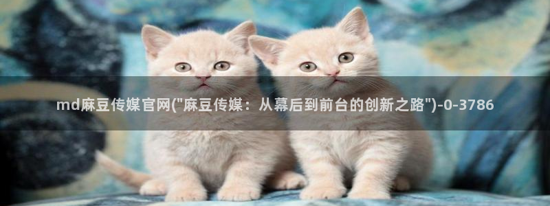 麻豆传媒官网介绍：md麻豆传媒官网(\