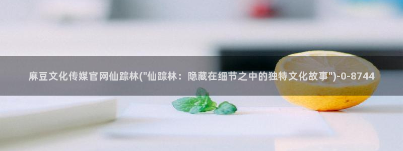 麻豆传媒官网地址破解：麻豆文化传媒官网仙踪林(\