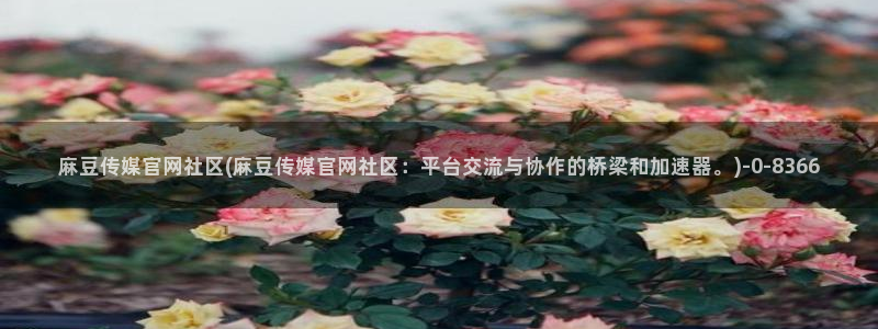 麻豆传媒有官网吗：麻豆传媒官网社区(麻豆传媒官网社区：平台交流与协作的桥梁和加速器。)