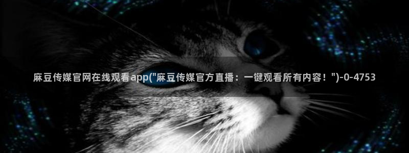 台湾麻豆传媒官网app：麻豆传媒官网在线观看app(\