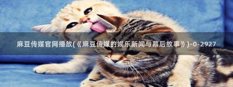 麻豆腐传媒官网：麻豆传媒官网播放(《麻豆传媒的娱乐新闻与幕后故事》)