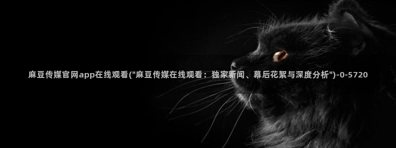麻豆视影视传媒官网：麻豆传媒官网app在线观看(\