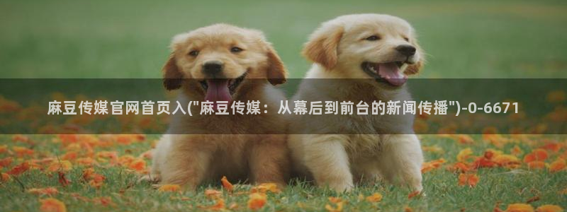 麻豆传媒影视官网：麻豆传媒官网首页入(\