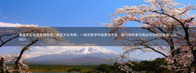 麻豆传媒官网装l：麻豆文化传媒官网免费(\