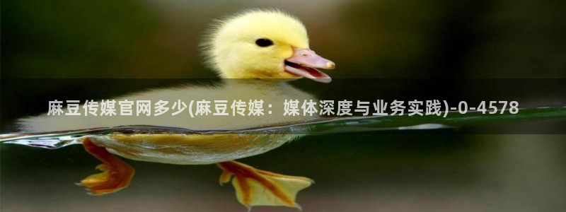 麻豆传媒官网演员：麻豆传媒官网多少(麻豆传媒：媒体深度与业务实践)