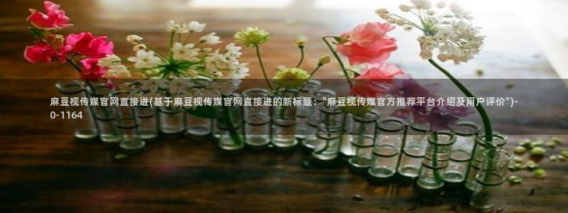 麻豆传媒官网花絮：麻豆视传媒官网直接进(基于麻豆视传媒官网直接进的新标题：\