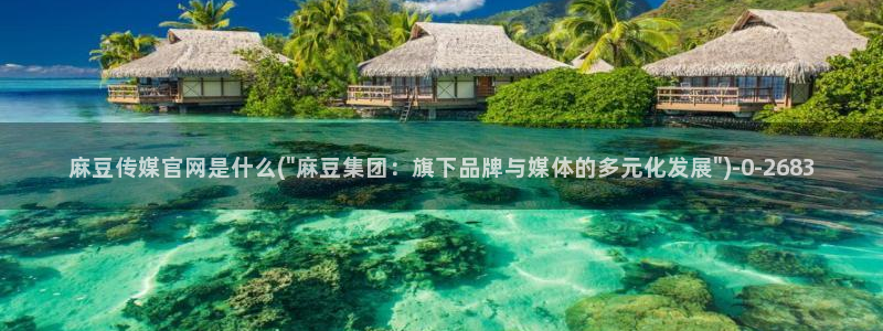 麻豆传媒换官网：麻豆传媒官网是什么(\