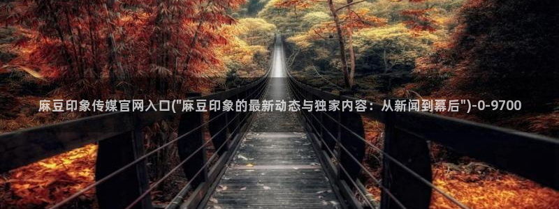 麻豆传媒官网国产：麻豆印象传媒官网入口(\