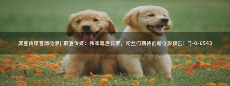麻豆文化传媒官网ios：麻豆传媒官网微博(\