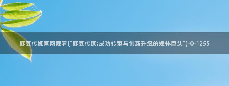 台湾免费麻豆传媒官网：麻豆传媒官网观看(\