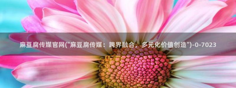 麻豆传媒影视官网入口：麻豆腐传媒官网(\