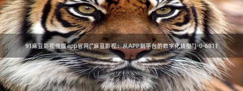 麻豆短传媒app官网