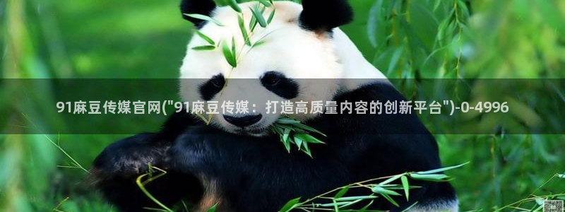麻豆传媒官网免费看